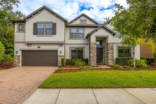 19433 Whispering Brook Drive, TAMPA, FL 33647