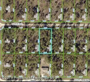 13352 Schick Avenue, BROOKSVILLE, FL 34614