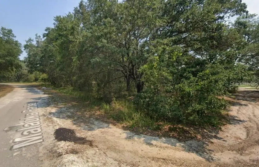 Malauka Radial, Ocklawaha, FL 32179 - #2