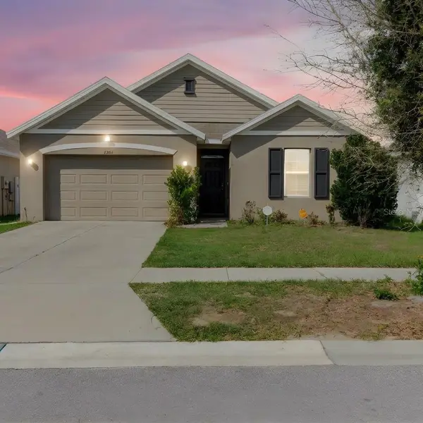 10206 Golden Light Court, RIVERVIEW, FL 33578