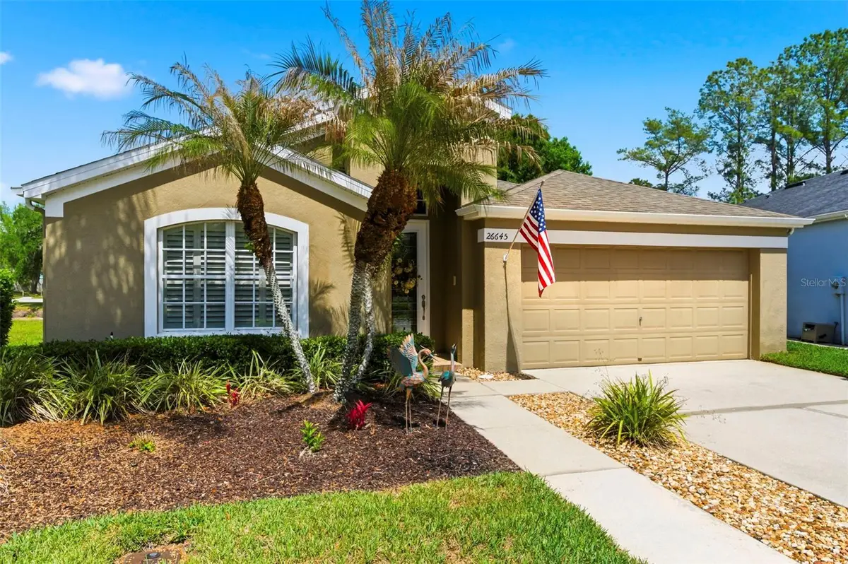 26645 Sea Hero Circle, Wesley Chapel, FL 33544 - #1