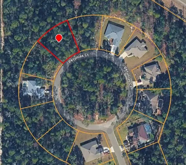 15 Petunias Court, HOMOSASSA, FL 34446