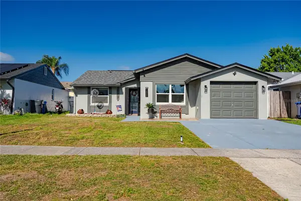 12423 Mondragon Drive, TAMPA, FL 33625