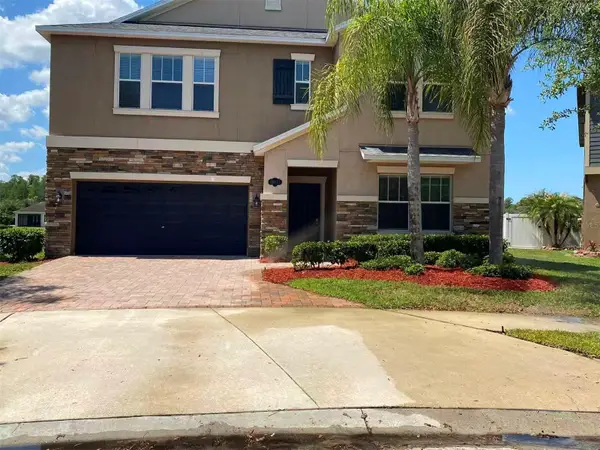 19417 Paddock View Drive, TAMPA, FL 33647