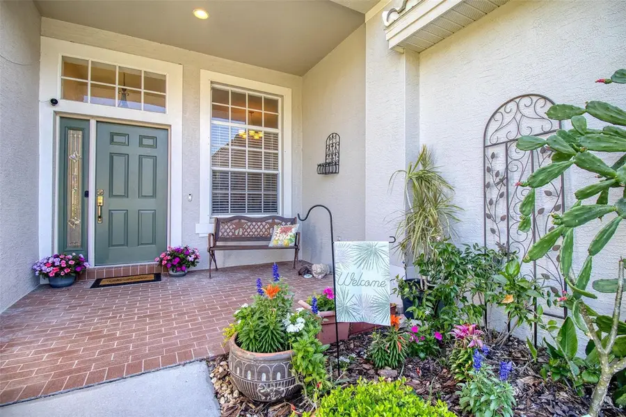 2206 Highland Woods Drive, Dunedin, FL 34698 - #3