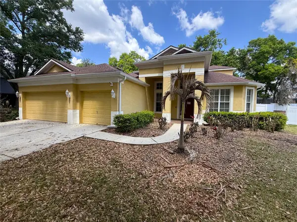3115 Red Lion Drive, VALRICO, FL 33596