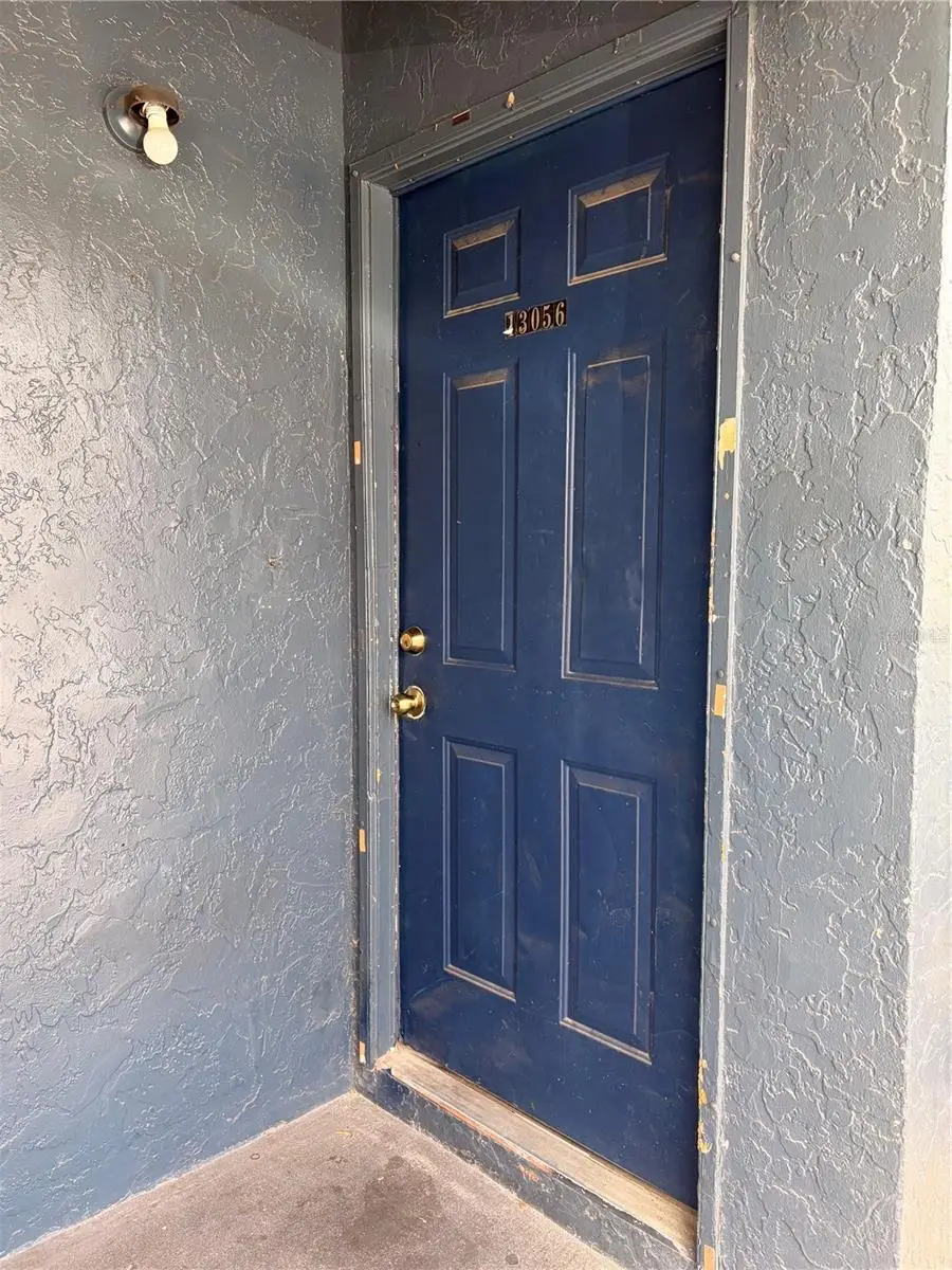 13056 Londondary Place, Tampa, FL 33612 - #1