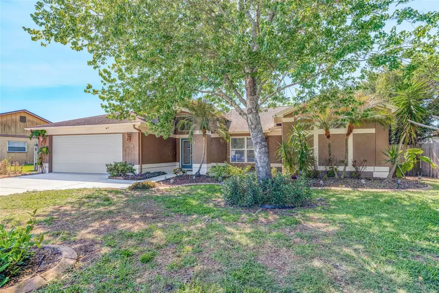 3006 Sprawling Oaks Place, Valrico, FL 33596 - #2