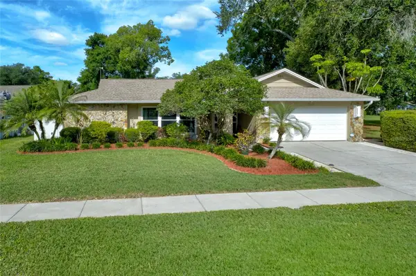 3210 Tarabrook Drive, TAMPA, FL 33618