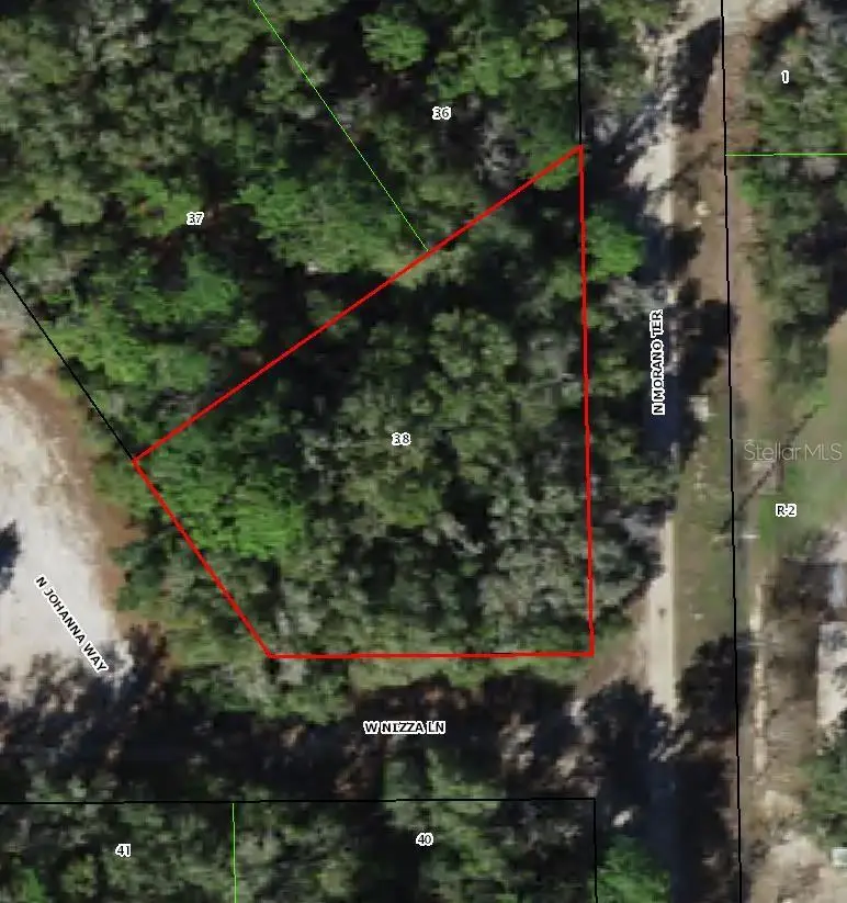 8123 W Nizza Lane, Crystal River, FL 34428 - #1