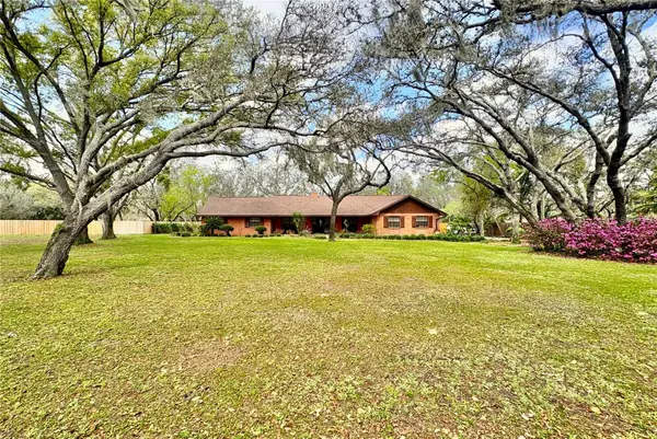 12506 Shadow Run Boulevard, RIVERVIEW, FL 33569