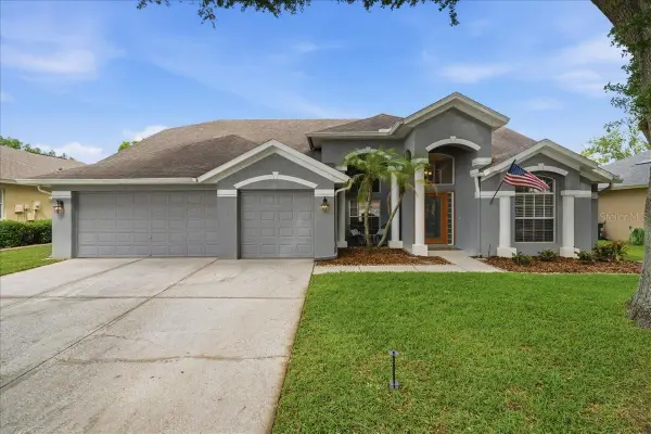 4408 Winding River Drive, VALRICO, FL 33596
