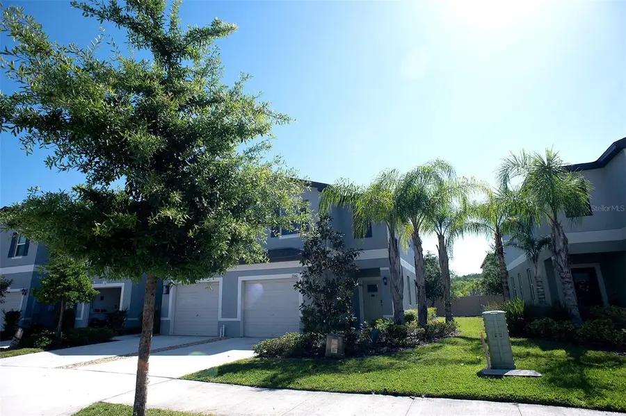 2160 Cerulean Sky Drive, Lutz, FL 33558 - #2