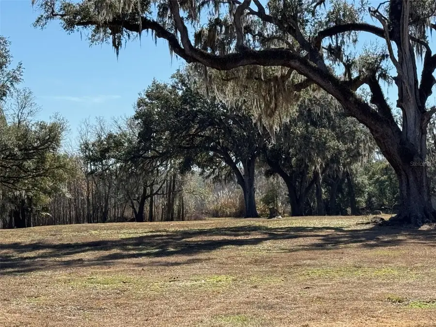 37214 Hester Road, Dade City, FL 33525 - #3