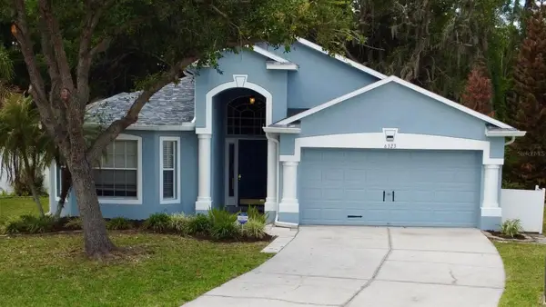 6323 Open Pasture Court, WESLEY CHAPEL, FL 33545