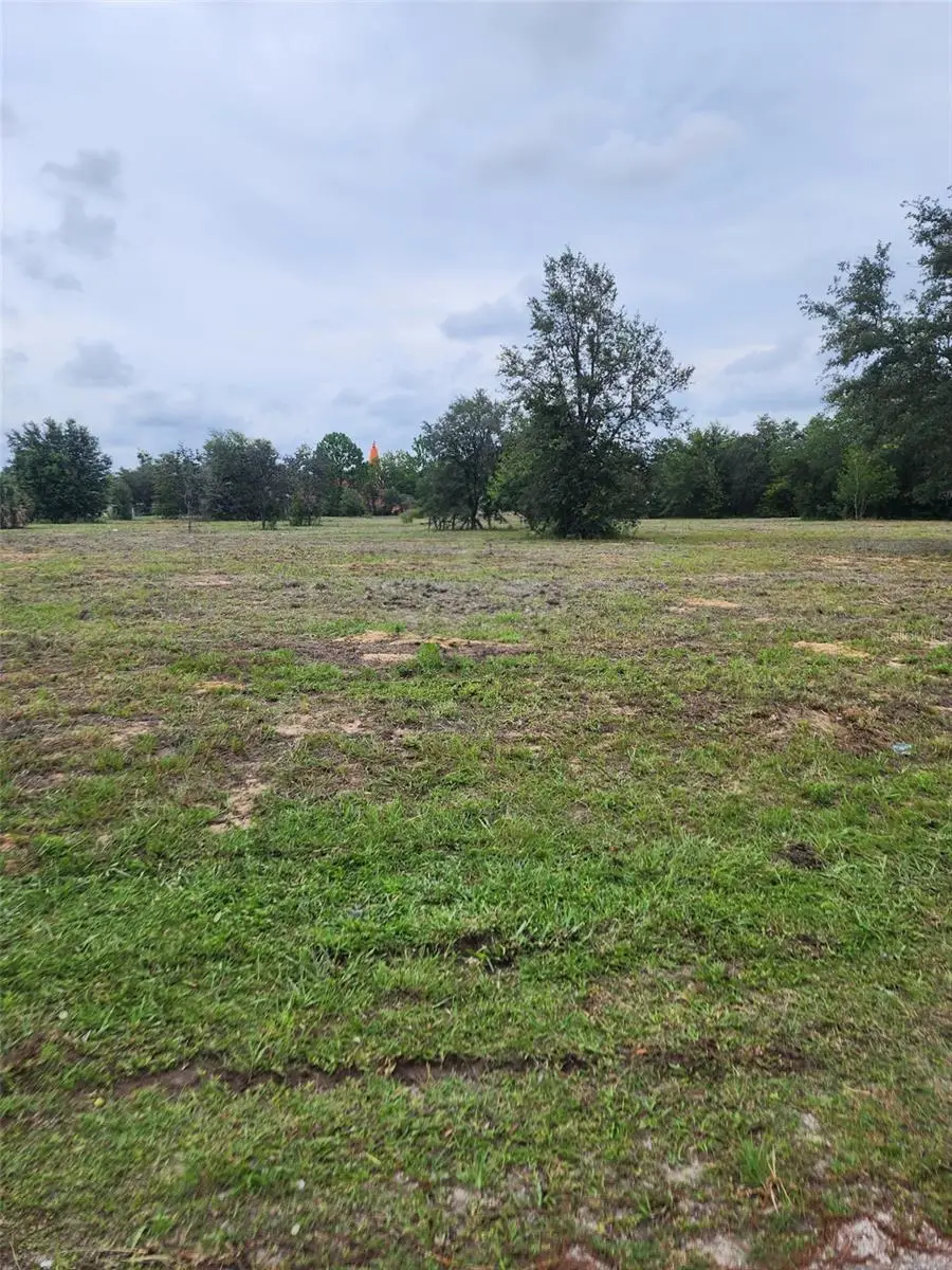 4975 E Triss Street, Inverness, FL 34452 - #1