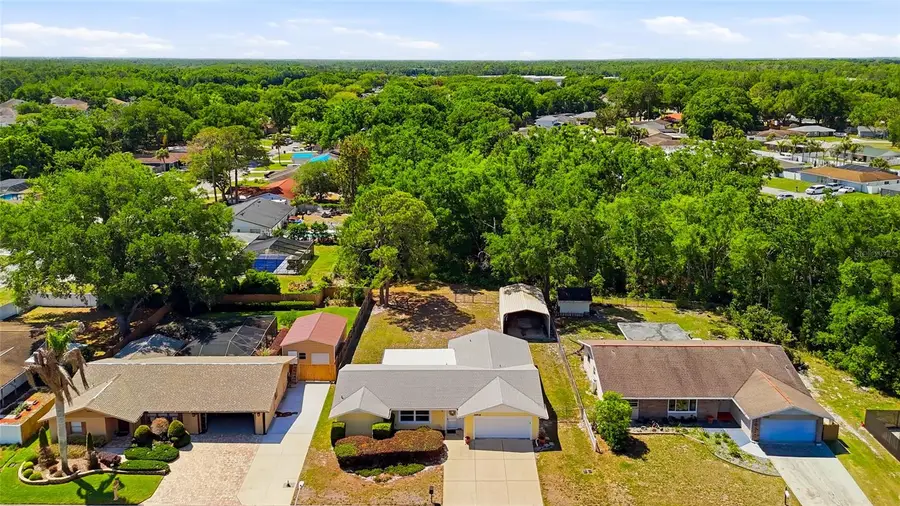 26916 Magnolia Boulevard, Lutz, FL 33559 - #2