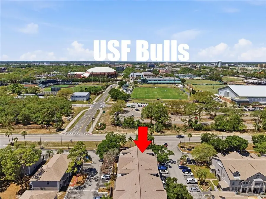 5007 Sunridge Palms Drive, Tampa, FL 33617 - #3