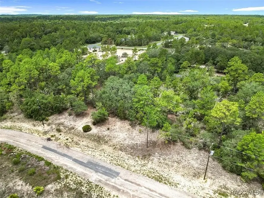 6688 N Sand Drive, Dunnellon, FL 34433 - #2