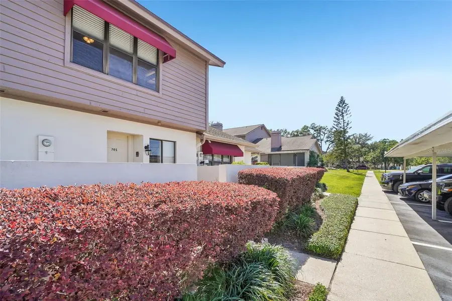 745 Oak Park Place, Brandon, FL 33511 - #3