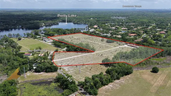 8028 Cosme Road, ODESSA, FL 33556