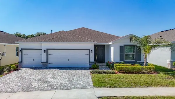 23278 Scaglione Drive, LUTZ, FL 33549