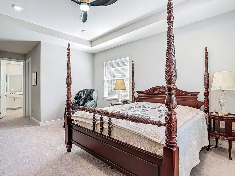 23278 Scaglione Drive, Lutz, FL 33549 - #3