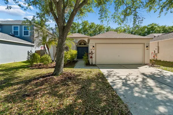 8311 Torrington Avenue, TAMPA, FL 33647