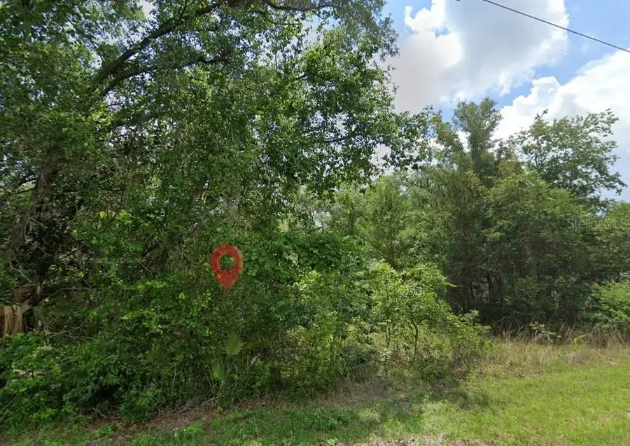 5363 N Redwood Avenue, Hernando, FL 34442 - #2