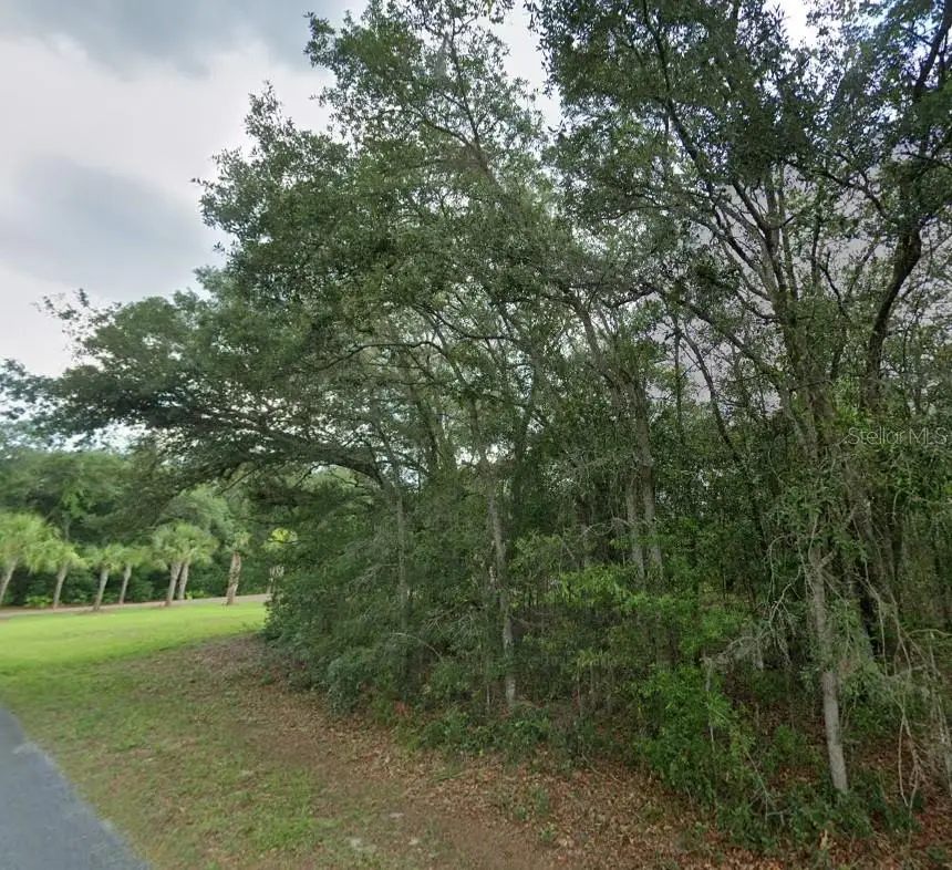 1449 E Wedgewood Lane, Hernando, FL 34442 - #1