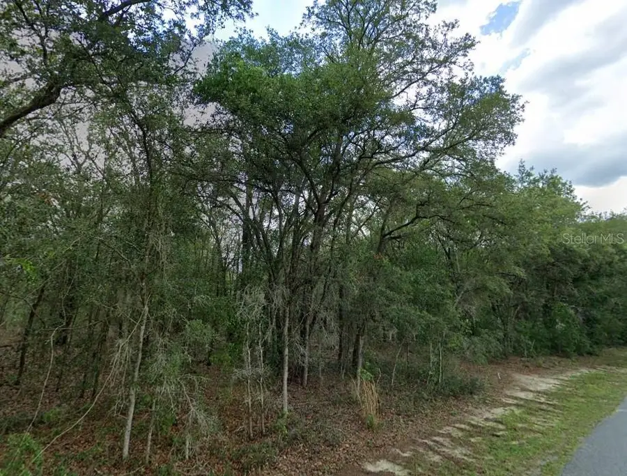 1449 E Wedgewood Lane, Hernando, FL 34442 - #2