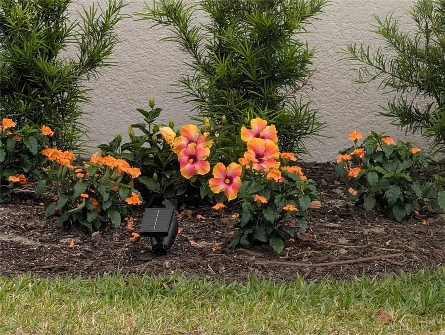 1724 Lake Reserve Drive, Deland, FL 32724 - #3