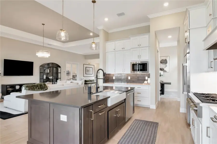 33773 Ocean Spray Lane, Wesley Chapel, FL 33543 - #3