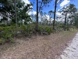 622 Laguna Drive, INDIAN LAKE ESTATES, FL 33855