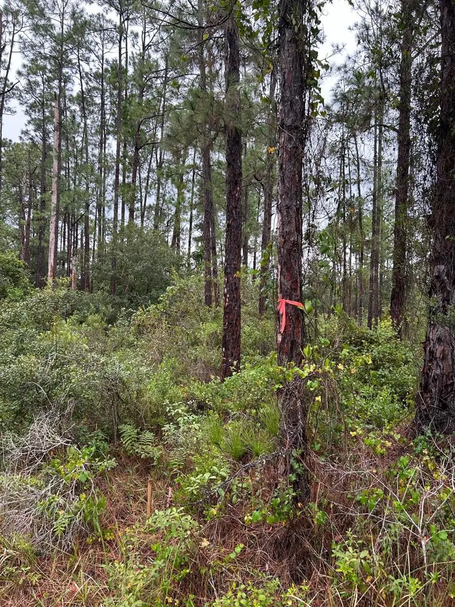 3518 62nd Street W, Lehigh Acres, FL 33971 - #1