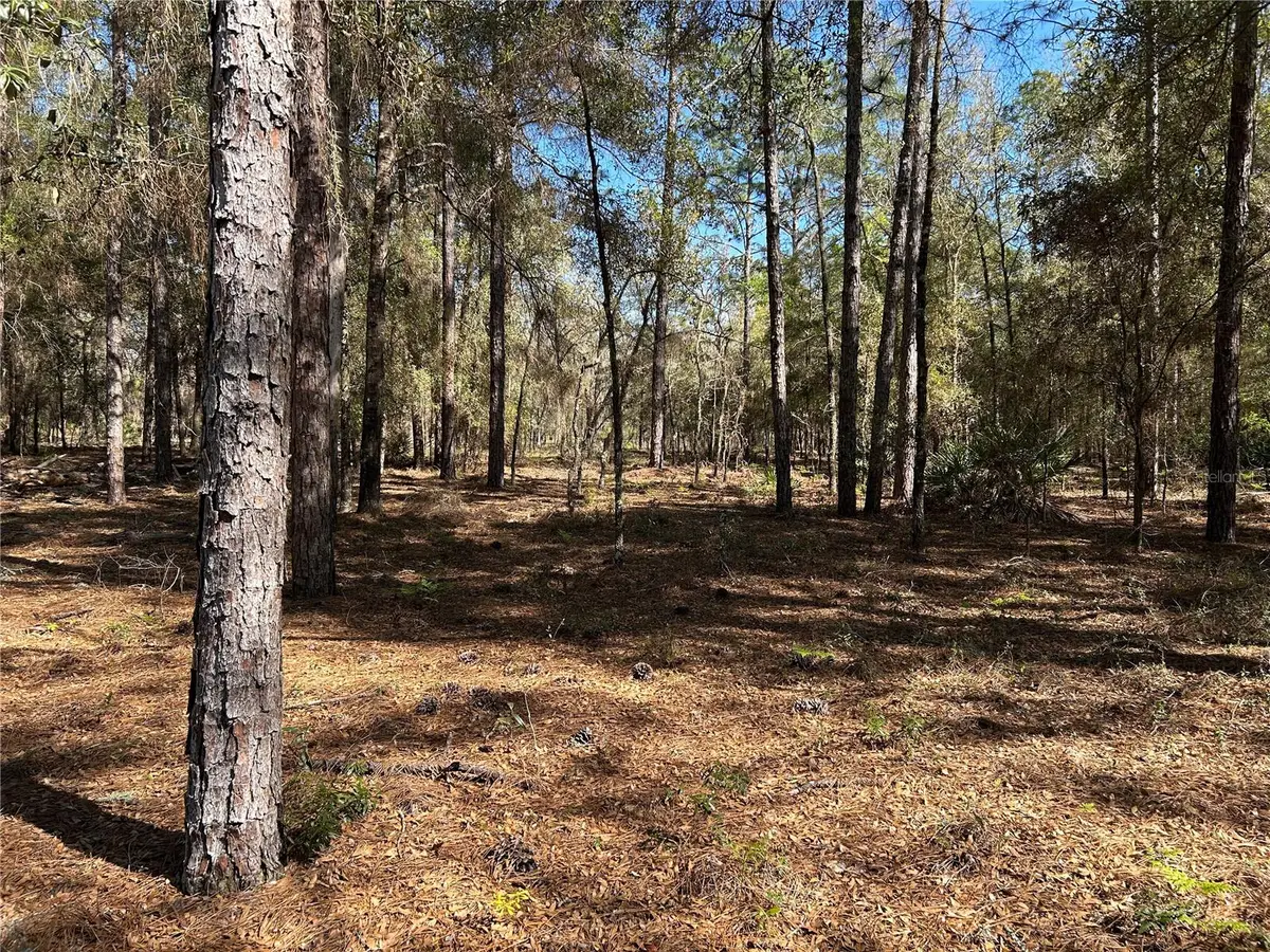 Lot 23 Sw 181st Cir, Dunnellon, FL 34432 - #1