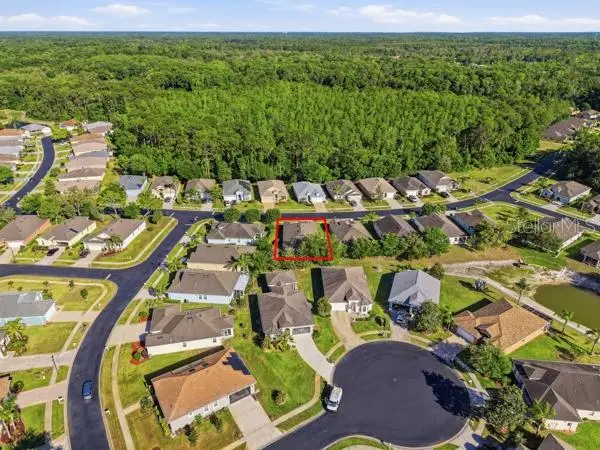 11215 Paradise Point Way, New Port Richey, FL 34654 - #2