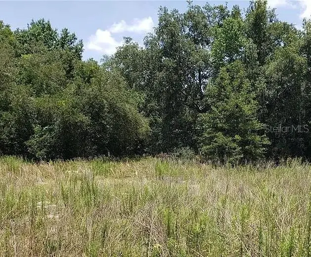 2412 Van Buren Street, Inverness, FL 34453 - #1