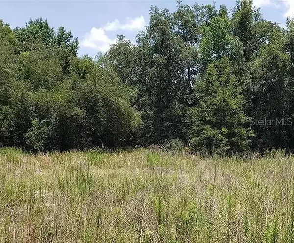 2412 Van Buren Street, INVERNESS, FL 34453