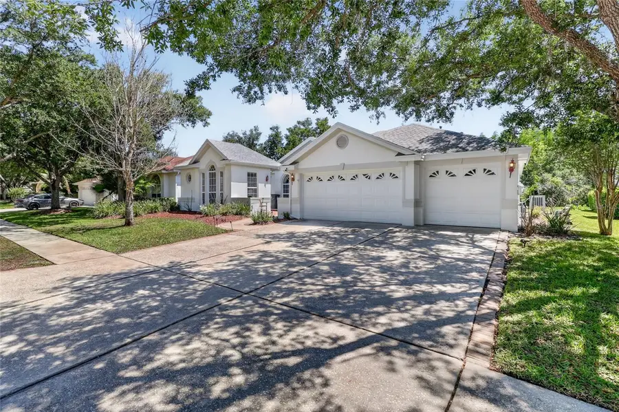 10206 Shadow Branch Drive, Tampa, FL 33647 - #2