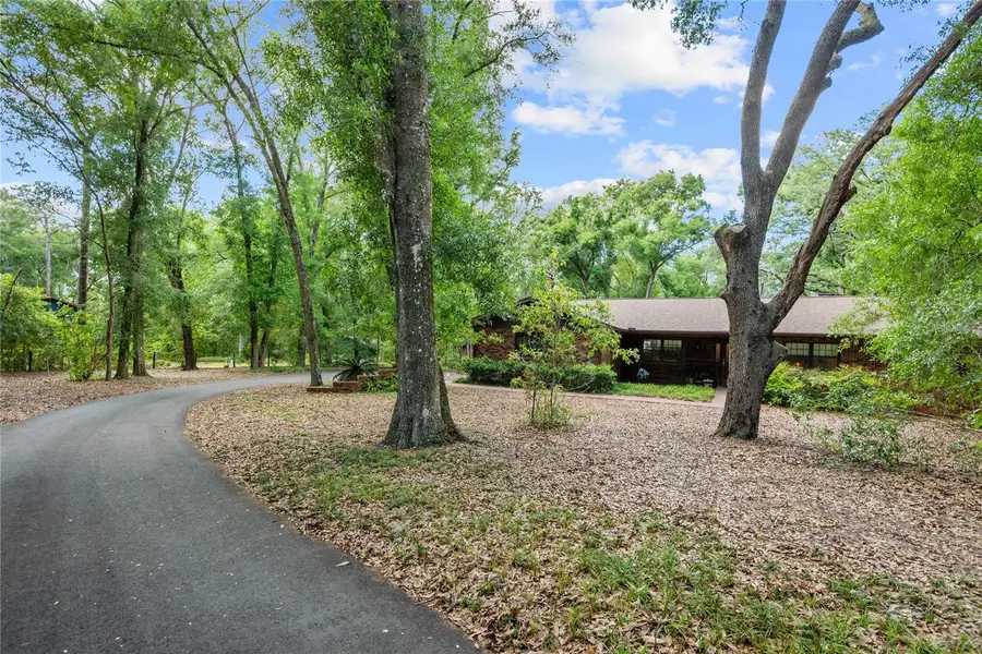 35935 Lana Drive, Dade City, FL 33523 - #3