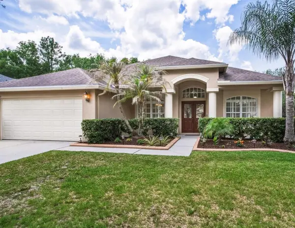 18220 Stillwell Lane, TAMPA, FL 33647