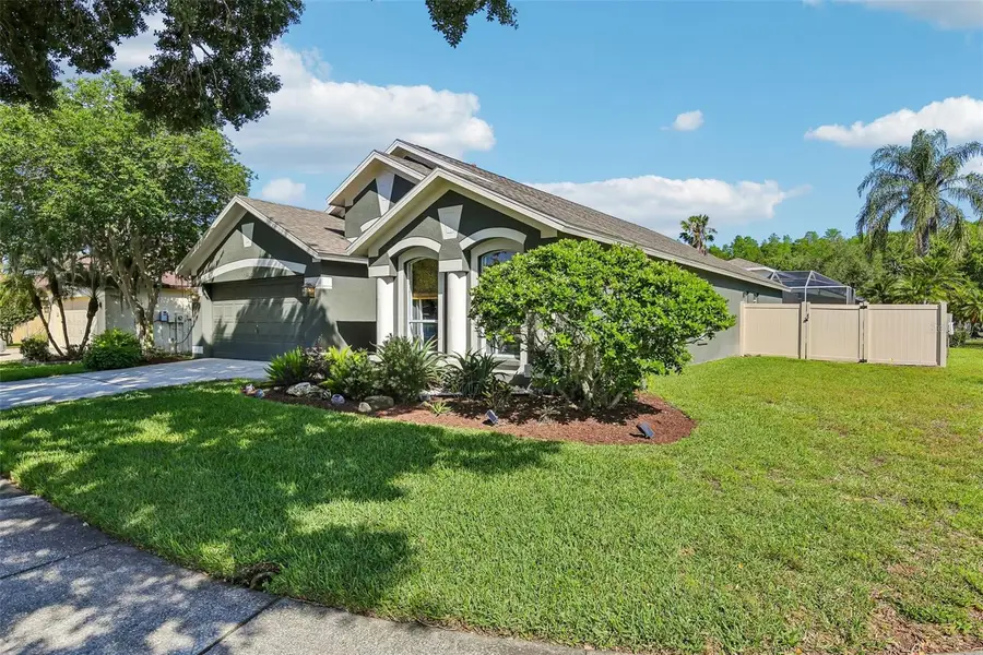 19918 Ellendale Drive, Land O Lakes, FL 34638 - #3