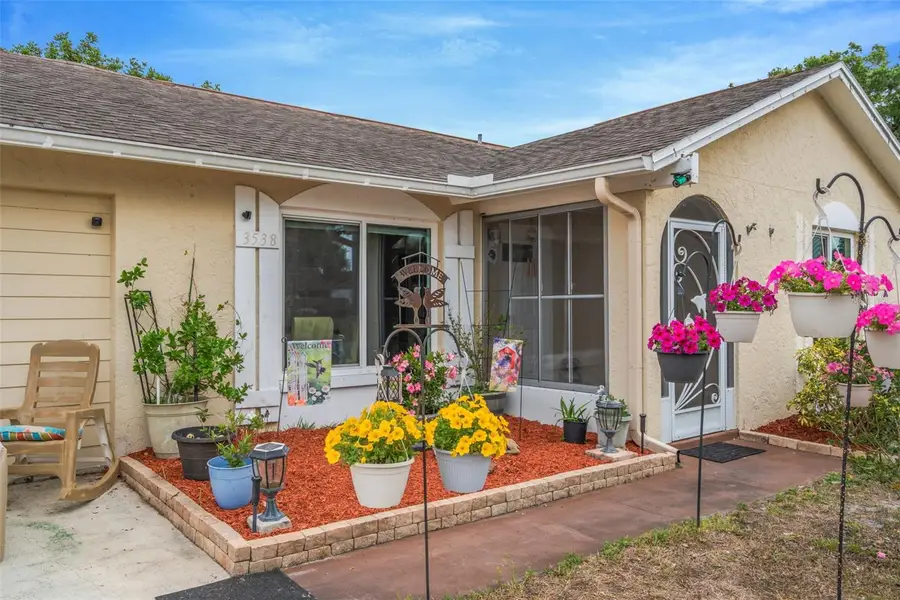 3538 Monte Rio Street, New Port Richey, FL 34655 - #2