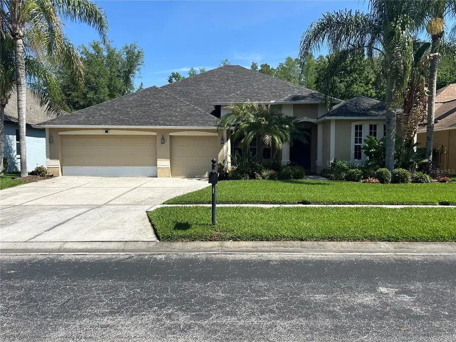 26612 Shoregrass Drive, Wesley Chapel, FL 33544 - #2