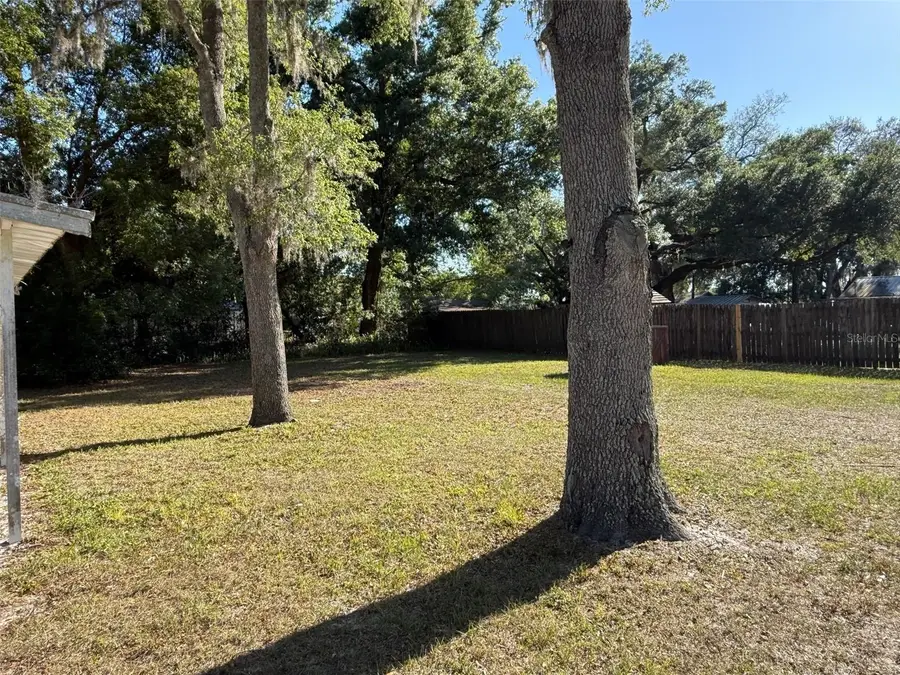 38038 Cat Avenue, Zephyrhills, FL 33541 - #3