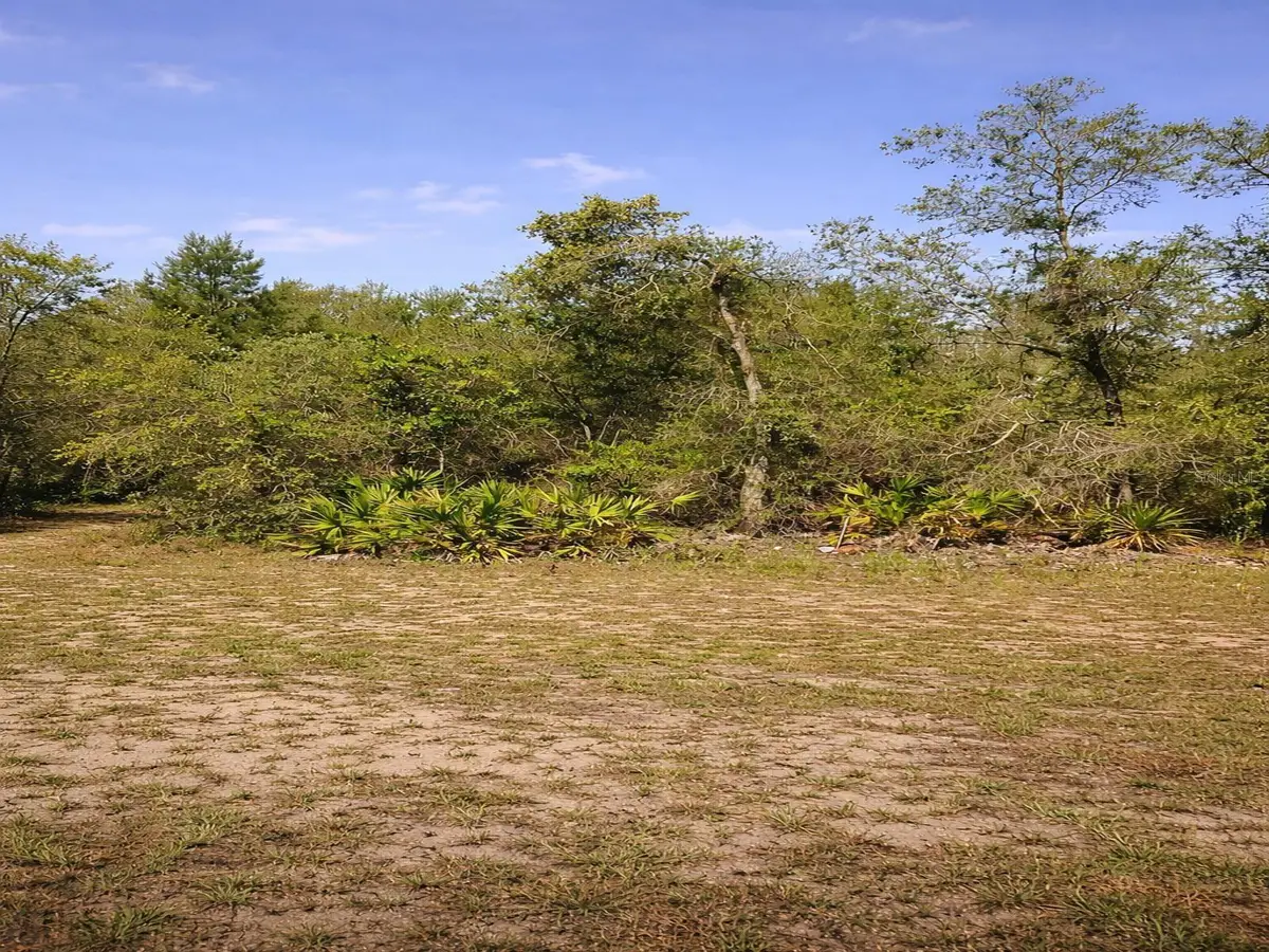 Shetland Drive, Lake Wales, FL 33898 - #1