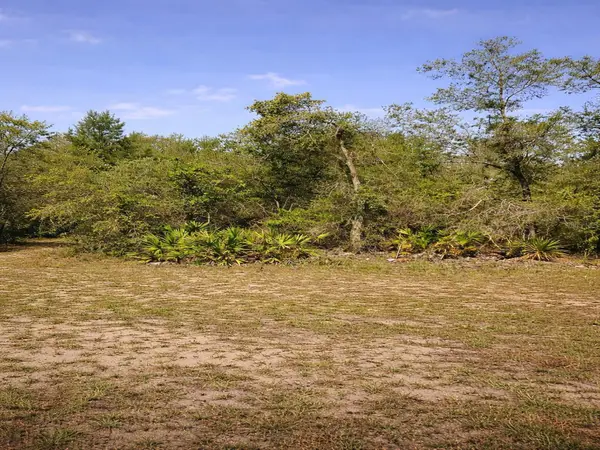 Shetland Drive, LAKE WALES, FL 33898