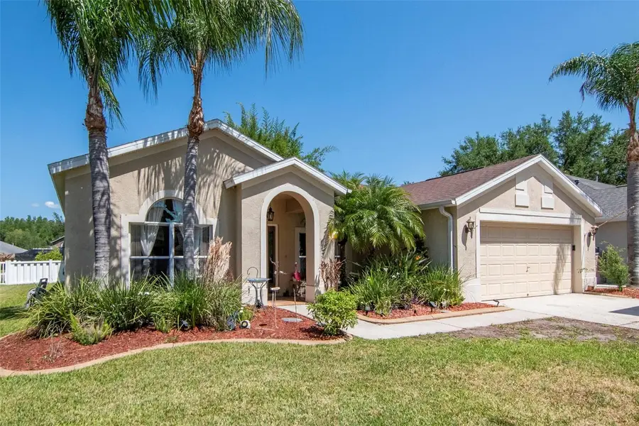 19103 Wind Dancer Street, Lutz, FL 33558 - #3