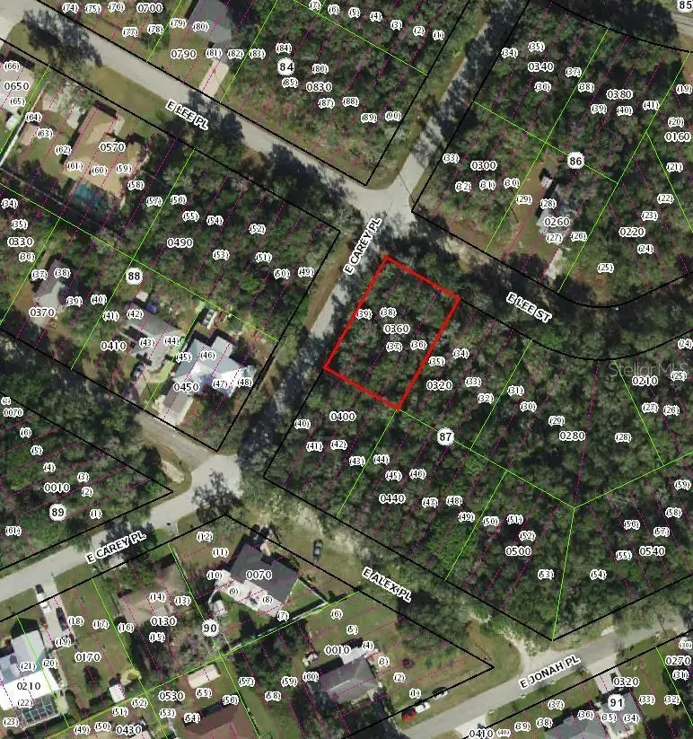 3576 E Lee Drive, Inverness, FL 34453 - #2